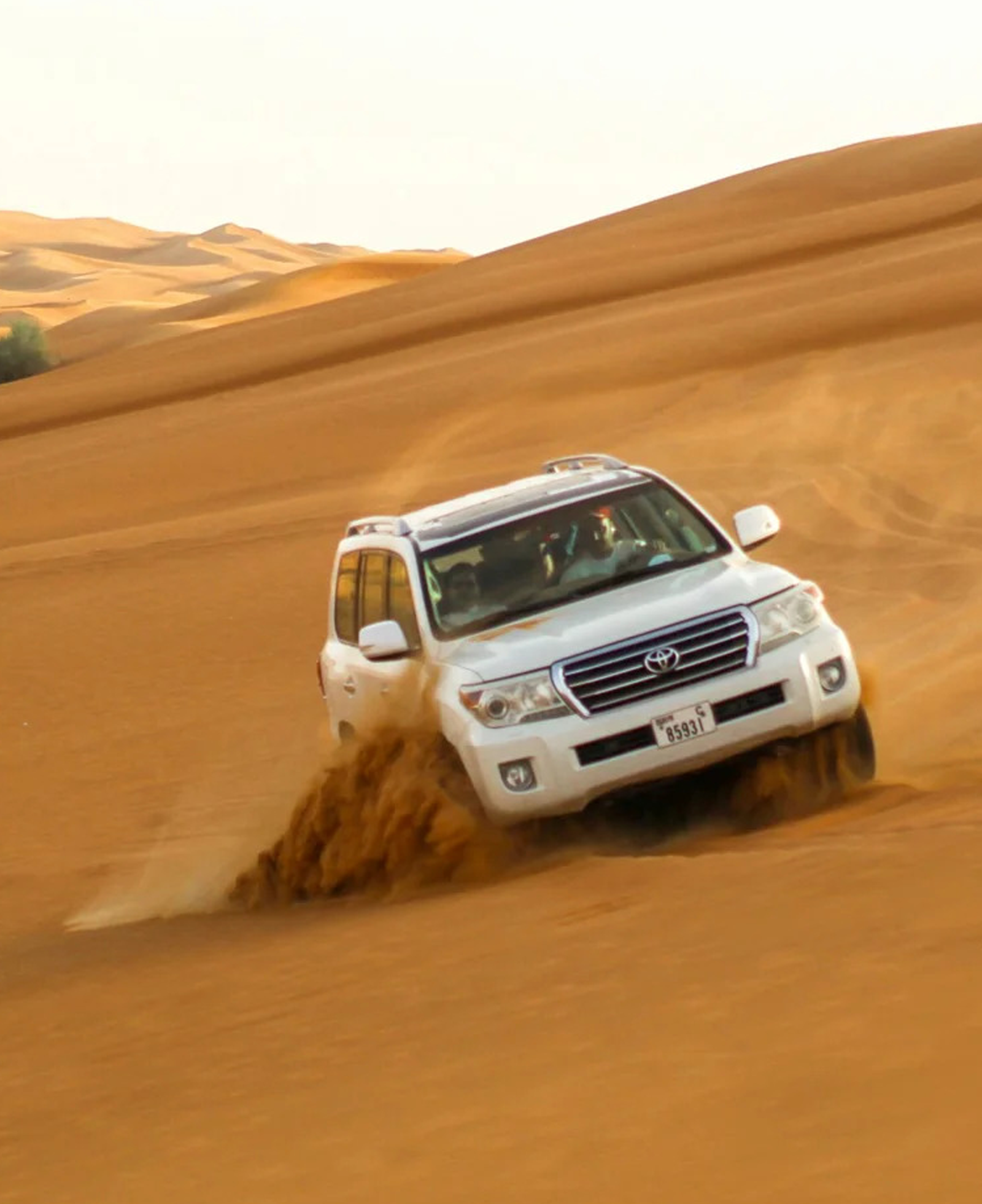 Come for the sand, stay for the show